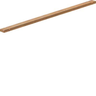 Sammelschiene