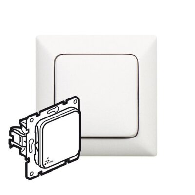 IP 44