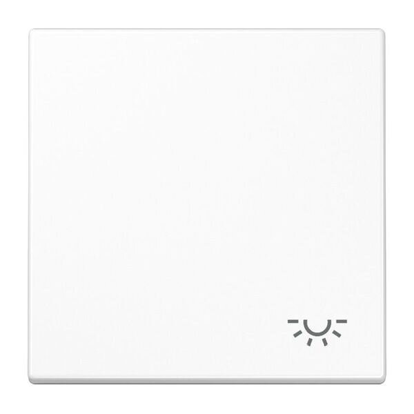 JUNG Wippe LS990LWW mit Symbol Licht Serie LS alpinwei&szlig;