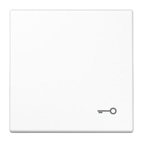 JUNG Wippe LS990TWW mit Symbol T&uuml;r Serie LS alpinwei&szlig;
