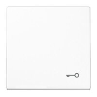 JUNG Wippe LS990TWW mit Symbol Tür Serie LS...
