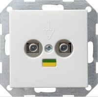 GIRA Potentialausgleich-Dose 040503 2fach System 55...