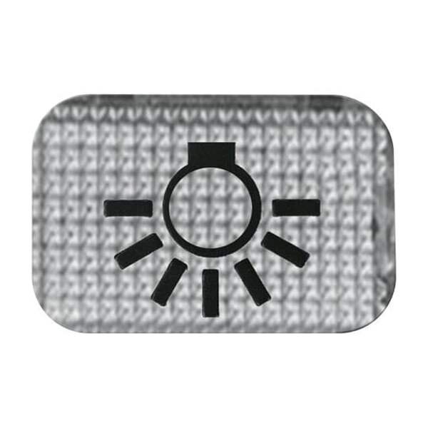 BUSCH-JAEGER Symbol 2145 LI Licht glasklar
