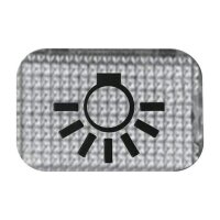 BUSCH-JAEGER Symbol 2145 LI Licht glasklar