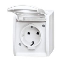 BUSCH-JAEGER Steckdose 20 EW-54 mit Klappdeckel...