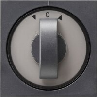 GIRA Abdeckung 066628 Knebel Zeit+Jalousie System 55...