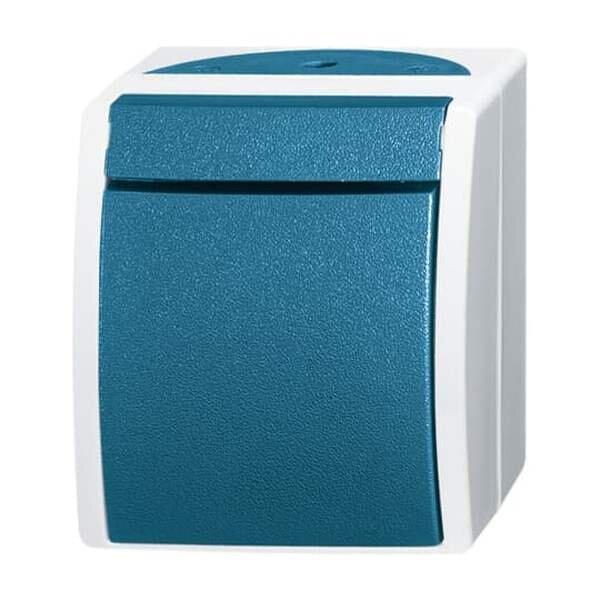 BUSCH-JAEGER Taster 2621 W-53 ocean Schliesser grau/blaugr&uuml;n