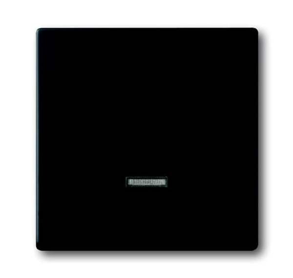 BUSCH-JAEGER Bedienelement 6543-885-101 schwarz matt