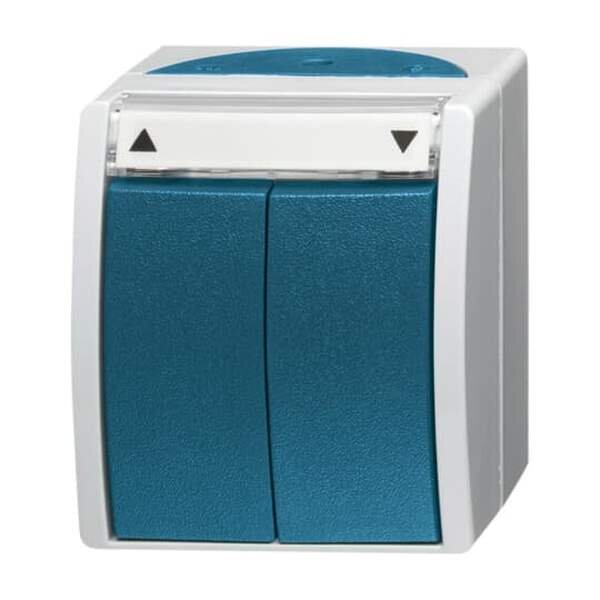BUSCH-JAEGER Jalousietaster 2621/4 W-53 ocean 10A 1polig gr/blgr