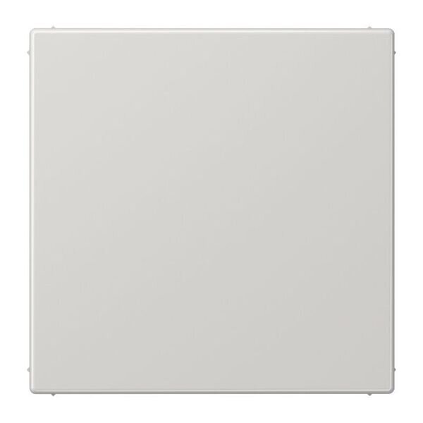 JUNG Blindabdeckung LS994BLG