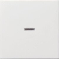 GIRA Wippe 029027 Kontrollfenster System 55...