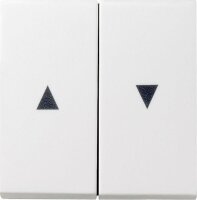 GIRA Serienwippe 029427 Pfeilsymbol System 55...