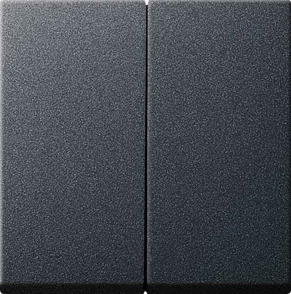 GIRA Serienwippe 029528 System 55 Anthrazit