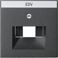 GIRA Abdeckung 028428 Beschriftungsfeld UAE /IAE (ISDN)...