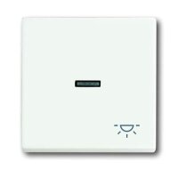 BUSCH-JAEGER Wippe 1789 LI-884 Symbol Licht...