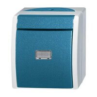 BUSCH-JAEGER Taster 2621 WGL-53 ocean Schliesser gr/blgr