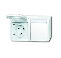 BUSCH-JAEGER Doppelsteckdose SCHUKO 20/2 EWN-54...