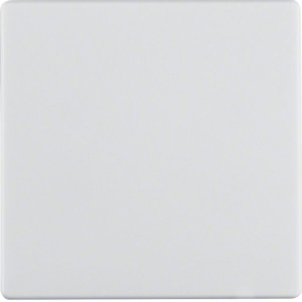 BERKER Wippe 16206089 polarweiss samt