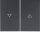 BERKER Serienwippe 14357106 Symbol Pfeil anthrazit matt