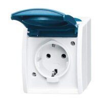 BUSCH-JAEGER Steckdose 20 EWN-53 ocean grau/blaugrün