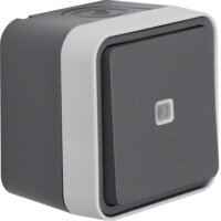 BERKER AP-Taster 50763505 lichtgrau