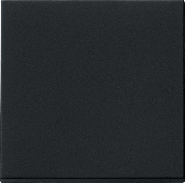 GIRA Wippe 0296005 System 55 Schwarz matt