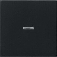 GIRA Wippe mit Kontrollfenster 0290005 System 55 schwarz...