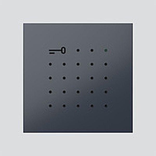 SIEDLE Electronic-Key-Lese-Modul ELM 600-0 AG Anthrazitgrau