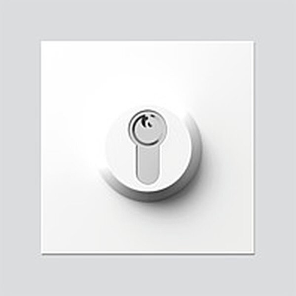 SIEDLE Schlossmodul SM 611-01 W