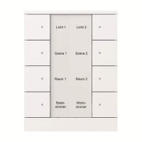 BUSCH-JAEGER Bedienelement SB/U8.0.11-84 8fach...