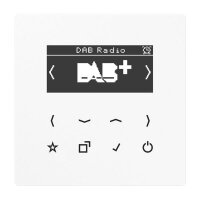 JUNG Smart Radio DABLSWW DAB+