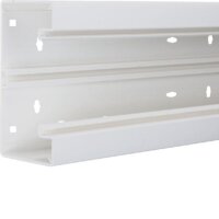 HAGER TEHALIT Brüstungskanal BRH6513019016 65x130mm vw