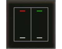 MDT Glastaster KNX II Light 2fach RGBW schwarz neutral