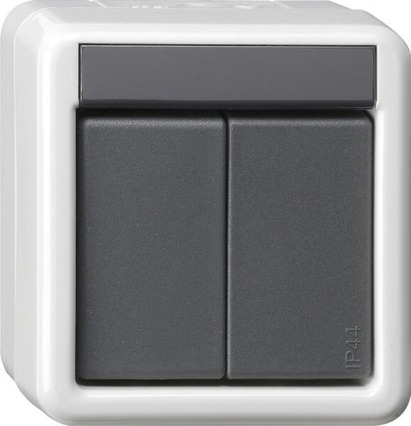 GIRA Taster 516230 KNX/EIB 2fach BA WG AP 2 LED gr