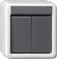 GIRA Taster 516230 KNX/EIB 2fach BA WG AP 2 LED gr