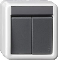 GIRA Taster 516130 KNX/EIB 2fach BA WG AP 1 LED gr