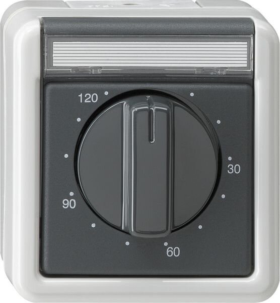 GIRA Zeitschalter 032130 120 min WG AP grau