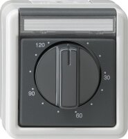 GIRA Zeitschalter 032130 120 min WG AP grau