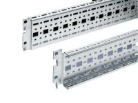 RITTAL System-Chassis auessere Ebene TS B800mm PK=4Stck