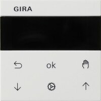 GIRA Jalousie- und Schaltuhr 536627 Display System 55...