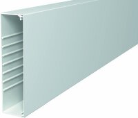 OBO Wand-/Deckenkanal WDK 60230 60x230 lichtgrau