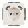 BUSCH-JAEGER USB-Steckdose SCHUKO 20 EUCB2USB-84 mit erh. Ber&uuml;hrungsschutz 2x USB studiowei&szlig;