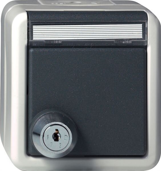 GIRA Steckdose SCHUKO 456730 Klappdeckel Schloss sortiert+Beschriftungsfeld WG AP gr