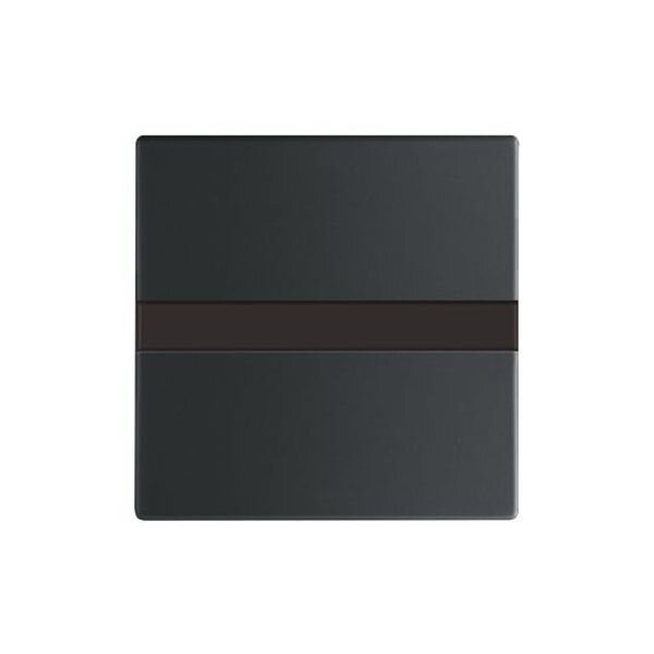 BUSCH-JAEGER Komfortschalter 64765-885 flex m.Orientierungslicht