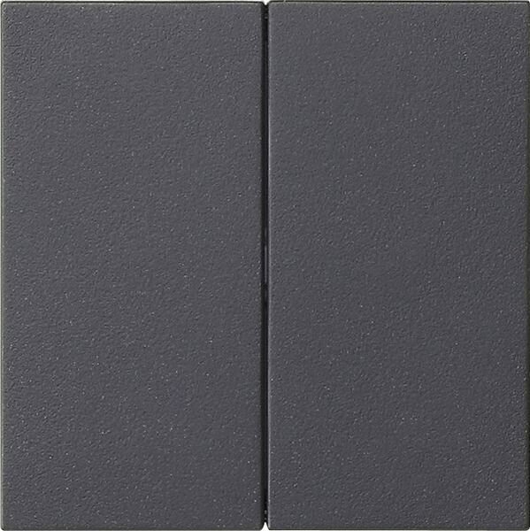 GIRA Bedienaufsatz 536228 S3000 2f System 55 Anthrazit