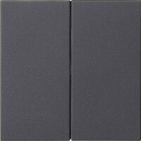 GIRA Bedienaufsatz 536228 S3000 2f System 55 Anthrazit