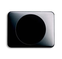BUSCH-JAEGER Zentralscheibe 8253-20 platin