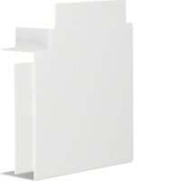 HAGER TEHALIT Flachwinkel LF6015059016 60x150mm...