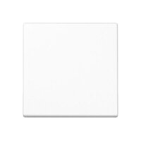 JUNG Steuertaste A1700WW Standard