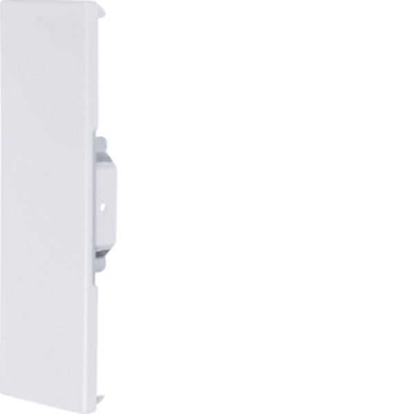 HAGER TEHALIT Endst&uuml;ck BR6521069016 68x210mm hfr verkehrswei&szlig;